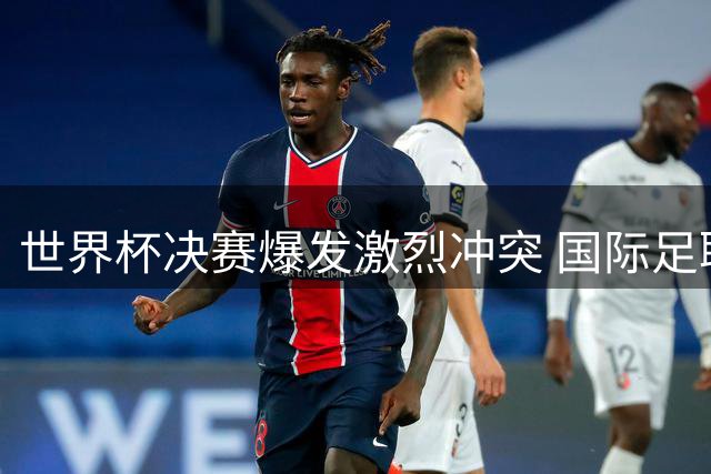 世界杯决赛爆发激烈冲突 国际足联启动纪律调查程序