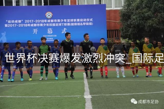 世界杯决赛爆发激烈冲突 国际足联启动纪律调查程序