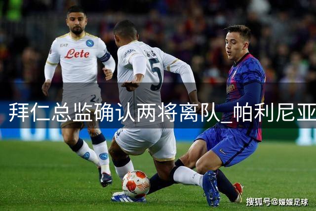 拜仁总监确认两将离队 帕利尼亚表态留队引关注
