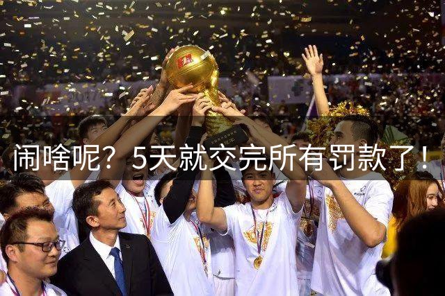 闹啥呢？5天就交完所有罚款了！
